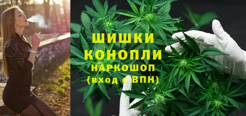 закладки  Верея  shop наркотические препараты  Бошки марихуана White Widow 